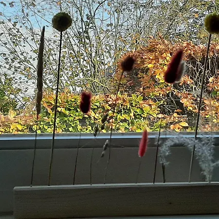 Atelierwohnung * Nordhorn