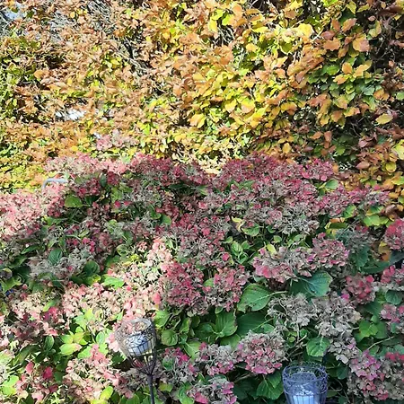 Apartmán Atelierwohnung *